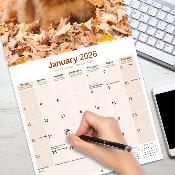 CALENDRIER 2026 - CHOW CHOW