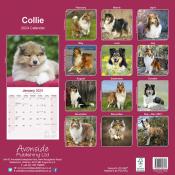 CALENDRIER 2024 - COLLEY