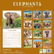 CALENDRIER 2026 - ELEPHANTS