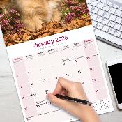 CALENDRIER 2026 -LHASSA APSO