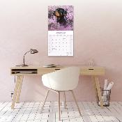 CALENDRIER 2026 - ROTTWEILER