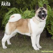 CALENDRIER 2019 - AKITA INU