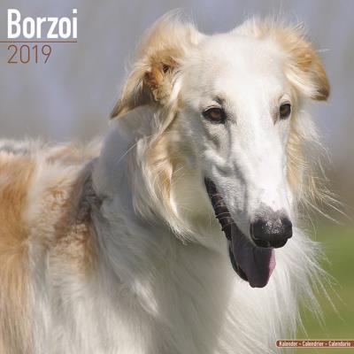 CALENDRIER 2019 - BARZOI