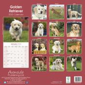 CALENDRIER 2022 - GOLDEN RETRIEVER