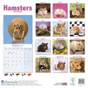 CALENDRIER 2019 - HAMSTERS