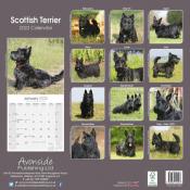 CALENDRIER 2022 - SCOTTISH TERRIER