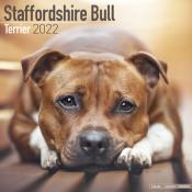 CALENDRIER 2022 - STAFFORDSHIRE BULL TERRIER