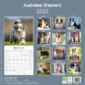 CALENDRIER 2026 - BERGER AUSTRALIEN