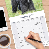 CALENDRIER 2027 - BOUVIER DES FLANDRES
