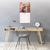 CALENDRIER 2027 - BRAQUE DE WEIMAR