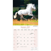 CALENDRIER 2027 - CHEVAUX