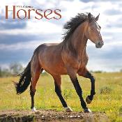 CALENDRIER 2026 - CHEVAUX