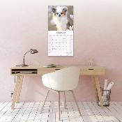 CALENDRIER 2026 - CHIHUAHUA