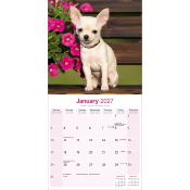 CALENDRIER 2027 - CHIHUAHUA