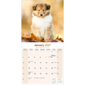 CALENDRIER 2027 - COLLEY