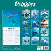 CALENDRIER 2026 - DAUPHINS