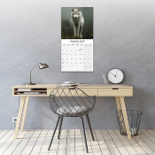 CALENDRIER 2027 - LOUPS
