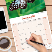 CALENDRIER 2027 - PAPILLONS INSECTES