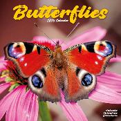 CALENDRIER 2026 - PAPILLONS INSECTES
