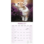 CALENDRIER 2027 - WELSH CORGI