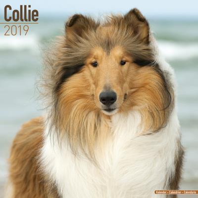CALENDRIER 2019 - COLLEY