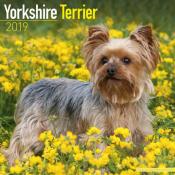 CALENDRIER 2019 - YORKSHIRE