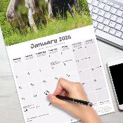 CALENDRIER 2026 - ANES