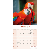 CALENDRIER 2027 - PERROQUET ARAS