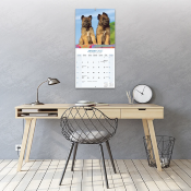 CALENDRIER 2027 - BERGER BELGE