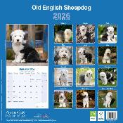 CALENDRIER 2026 - BOBTAIL