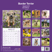 CALENDRIER 2027 - BORDER TERRIER