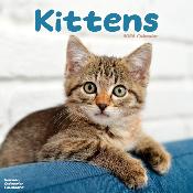CALENDRIER 2026 - CHATONS Diverses races