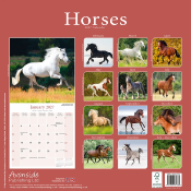 CALENDRIER 2027 - CHEVAUX