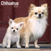 CALENDRIER 2027 - CHIHUAHUA