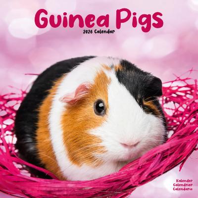 CALENDRIER 2026 - COCHONS D'INDE - COBAYES