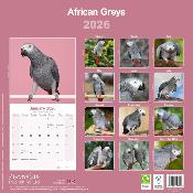 CALENDRIER 2026 - GRIS DU GABON