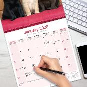 CALENDRIER 2026 -LABRADOR MIXED : sable, noir et chocolat