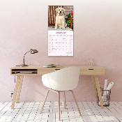 CALENDRIER 2026 -LABRADOR SABLE