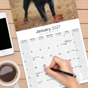 CALENDRIER 2027 - SCHIPPERKE