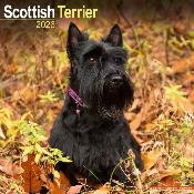 CALENDRIER 2026 - SCOTTISH TERRIER