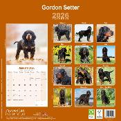 CALENDRIER 2026 - SETTER GORDON