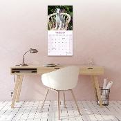 CALENDRIER 2026 - WHIPPET