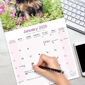 CALENDRIER 2026 - YORKSHIRE TERRIER