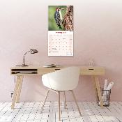 CALENDRIER 2026 - OISEAUX DES JARDINS