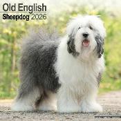 CALENDRIER 2026 - BOBTAIL