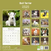 CALENDRIER 2026 - BULL TERRIER