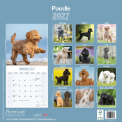 CALENDRIER 2027 - CANICHE STANDARD