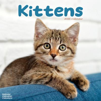 CALENDRIER 2026 - CHATONS Diverses races