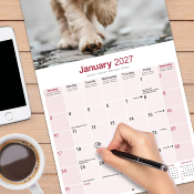 CALENDRIER 2027 - COCKER ANGLAIS