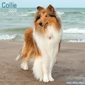 CALENDRIER 2026 - COLLEY